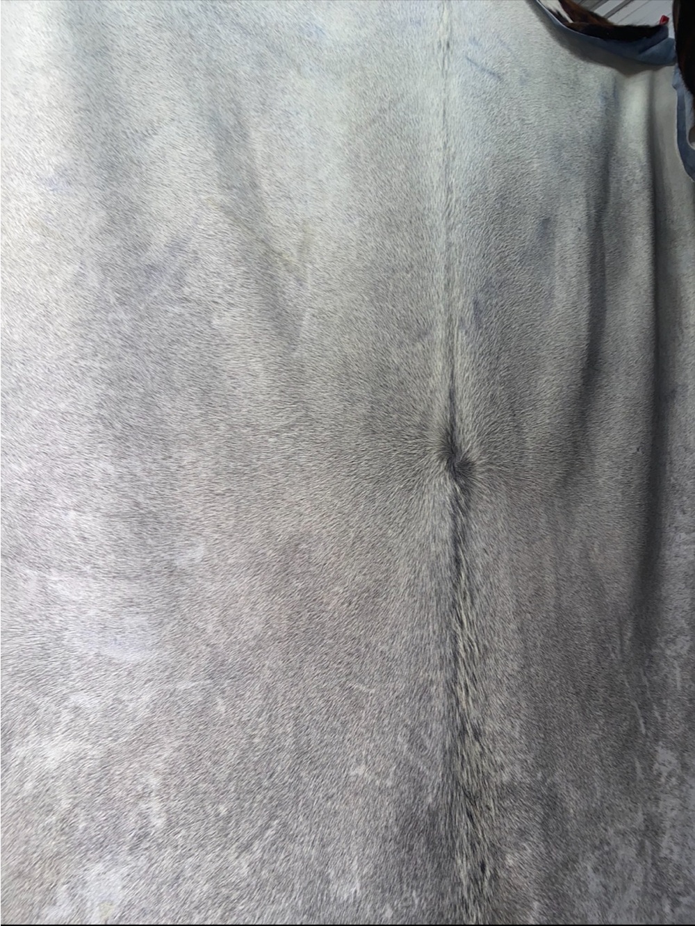 Cowhide rugs